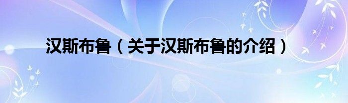汉斯布鲁（关于汉斯布鲁的介绍）