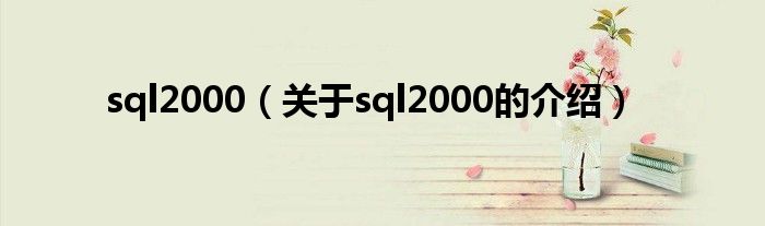 sql2000（关于sql2000的介绍）