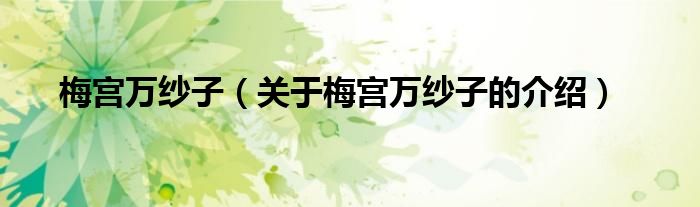 梅宫万纱子（关于梅宫万纱子的介绍）
