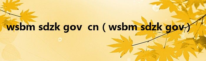 wsbm sdzk gov  cn（wsbm sdzk gov）