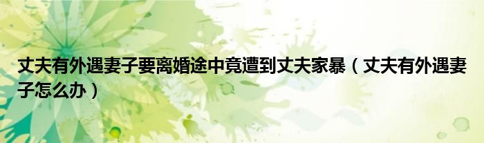 丈夫有外遇妻子要离婚途中竟遭到丈夫家暴（丈夫有外遇妻子怎么办）