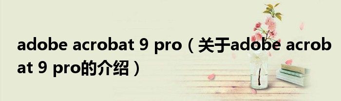 adobe acrobat 9 pro（关于adobe acrobat 9 pro的介绍）