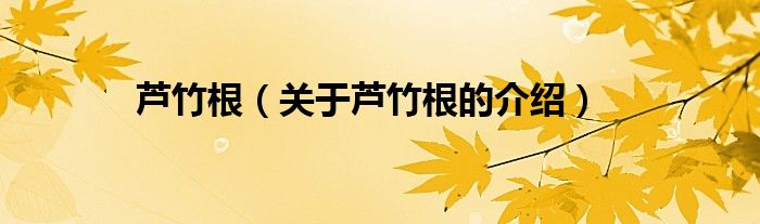 芦竹根（关于芦竹根的介绍）