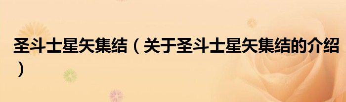 圣斗士星矢集结（关于圣斗士星矢集结的介绍）