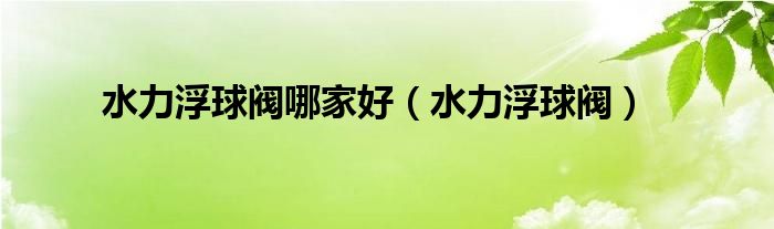 水力浮球阀哪家好（水力浮球阀）
