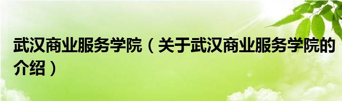 武汉商业服务学院（关于武汉商业服务学院的介绍）