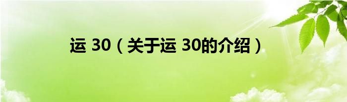 运 30（关于运 30的介绍）
