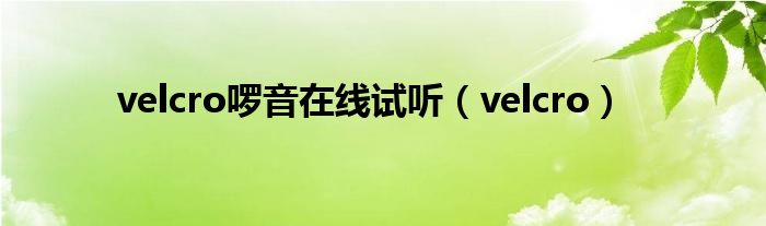 velcro啰音在线试听（velcro）