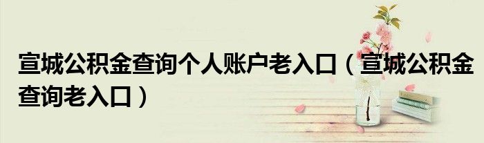 宣城公积金查询个人账户老入口（宣城公积金查询老入口）