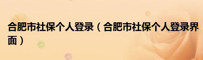 合肥市社保个人登录（合肥市社保个人登录界面）