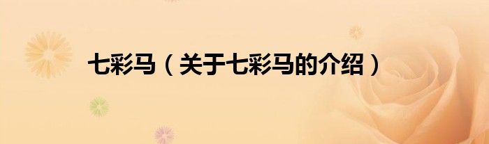 七彩马（关于七彩马的介绍）