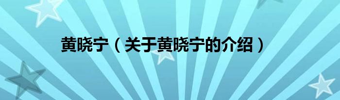 黄晓宁（关于黄晓宁的介绍）
