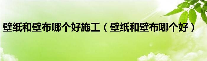 壁纸和壁布哪个好施工（壁纸和壁布哪个好）