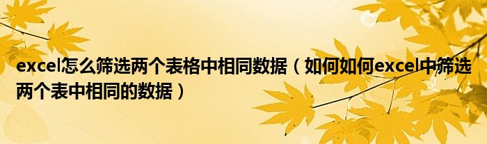 excel怎么筛选两个表格中相同数据（如何如何excel中筛选两个表中相同的数据）