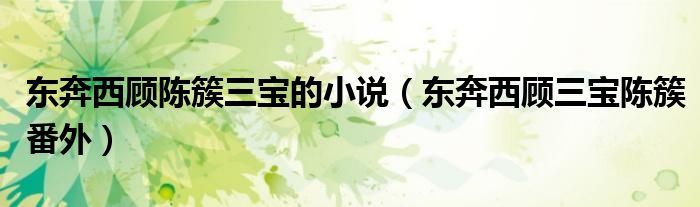 东奔西顾陈簇三宝的小说（东奔西顾三宝陈簇番外）