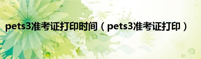pets3准考证打印时间（pets3准考证打印）