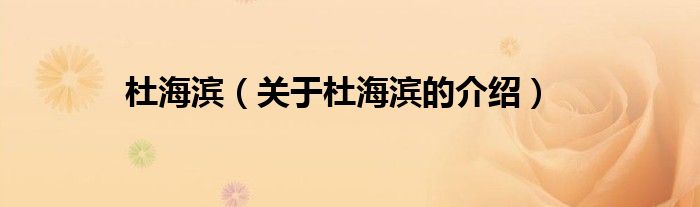 杜海滨（关于杜海滨的介绍）