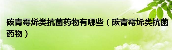 碳青霉烯类抗菌药物有哪些（碳青霉烯类抗菌药物）