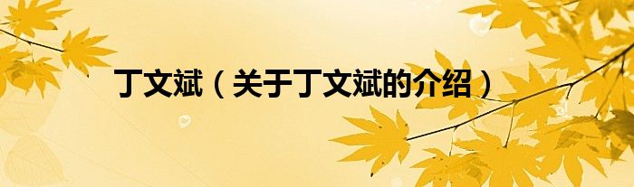 丁文斌（关于丁文斌的介绍）