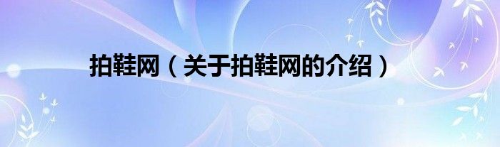 拍鞋网（关于拍鞋网的介绍）
