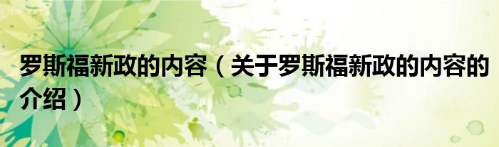 罗斯福新政的内容（关于罗斯福新政的内容的介绍）