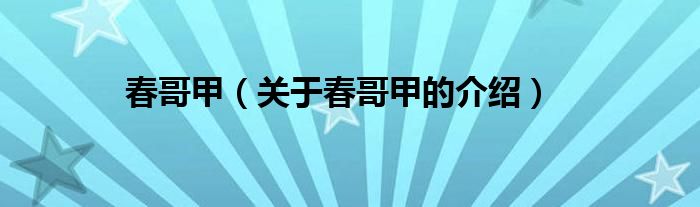 春哥甲（关于春哥甲的介绍）
