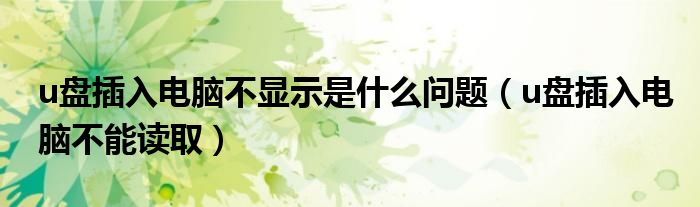 u盘插入电脑不显示是什么问题（u盘插入电脑不能读取）