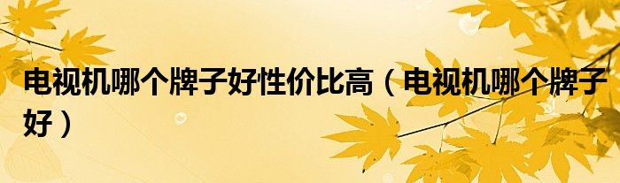 电视机哪个牌子好性价比高（电视机哪个牌子好）