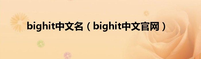 bighit中文名（bighit中文官网）