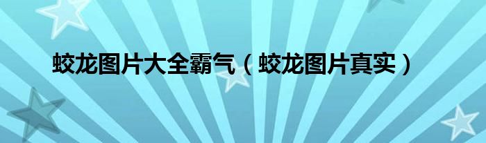 蛟龙图片大全霸气（蛟龙图片真实）