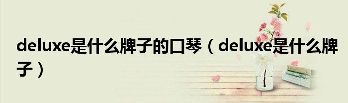 deluxe是什么牌子的口琴（deluxe是什么牌子）