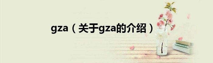 gza（关于gza的介绍）