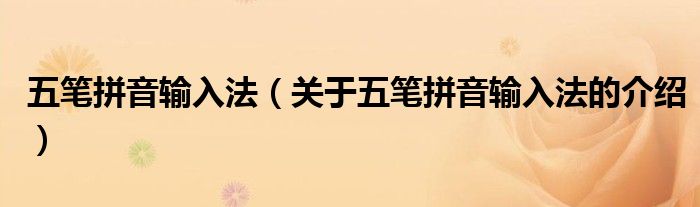 五笔拼音输入法（关于五笔拼音输入法的介绍）