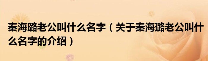 秦海璐老公叫什么名字（关于秦海璐老公叫什么名字的介绍）