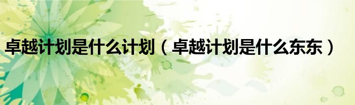 卓越计划是什么计划（卓越计划是什么东东）