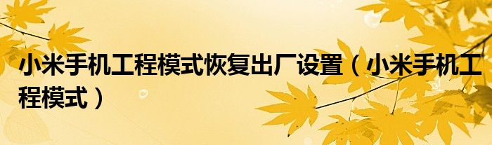 小米手机工程模式恢复出厂设置（小米手机工程模式）