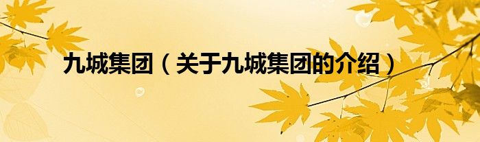 九城集团（关于九城集团的介绍）