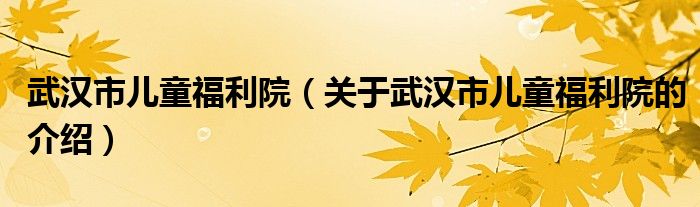 武汉市儿童福利院（关于武汉市儿童福利院的介绍）