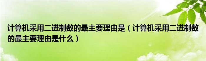计算机采用二进制数的最主要理由是（计算机采用二进制数的最主要理由是什么）