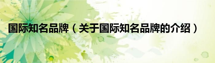 国际知名品牌（关于国际知名品牌的介绍）