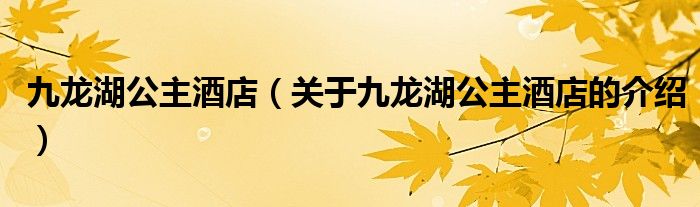 九龙湖公主酒店（关于九龙湖公主酒店的介绍）