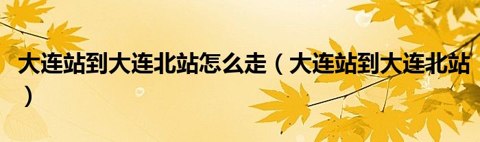 大连站到大连北站怎么走（大连站到大连北站）