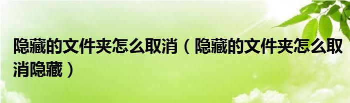 隐藏的文件夹怎么取消（隐藏的文件夹怎么取消隐藏）