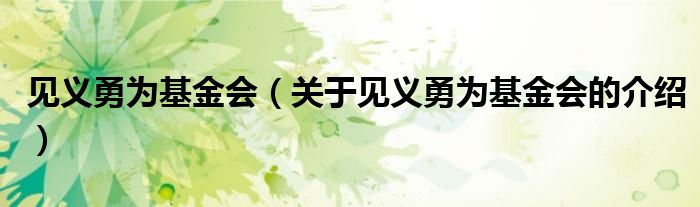 见义勇为基金会（关于见义勇为基金会的介绍）
