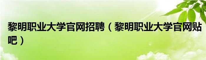 黎明职业大学官网招聘（黎明职业大学官网贴吧）