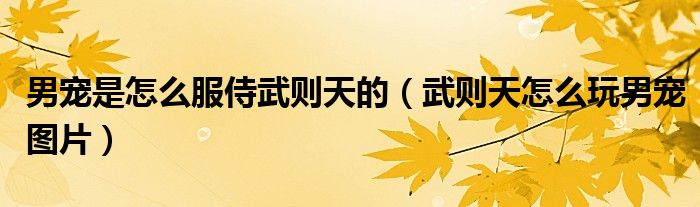 男宠是怎么服侍武则天的（武则天怎么玩男宠图片）