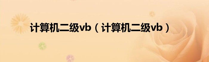 计算机二级vb（计算机二级vb）