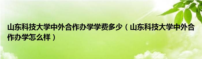 山东科技大学中外合作办学学费多少（山东科技大学中外合作办学怎么样）