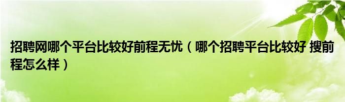 招聘网哪个平台比较好前程无忧（哪个招聘平台比较好 搜前程怎么样）