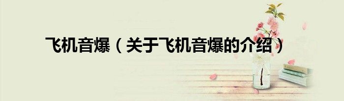 飞机音爆（关于飞机音爆的介绍）